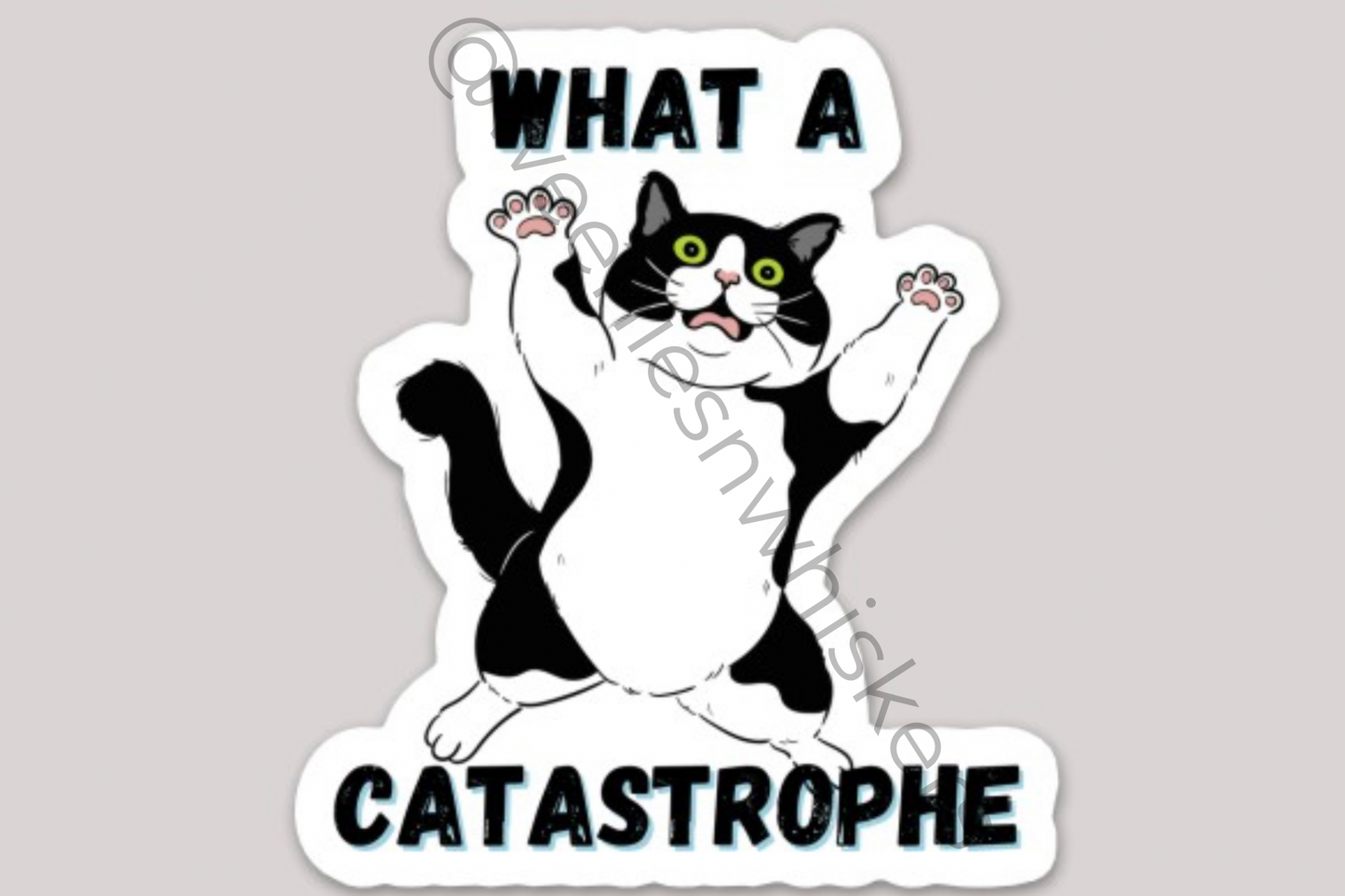 CATastrophe